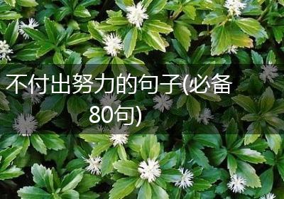 不付出努力的句子(必备80句)