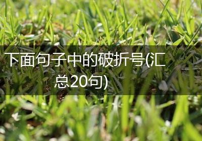 下面句子中的破折号(汇总20句)
