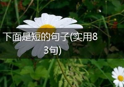 下面是短的句子(实用83句)