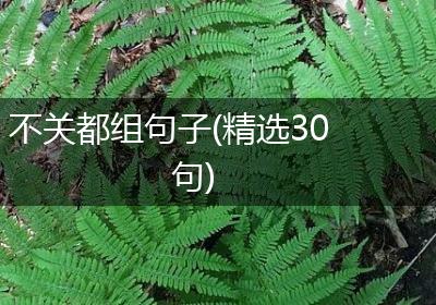 不关都组句子(精选30句)