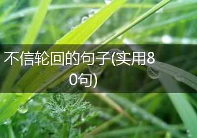 不信轮回的句子(实用80句)