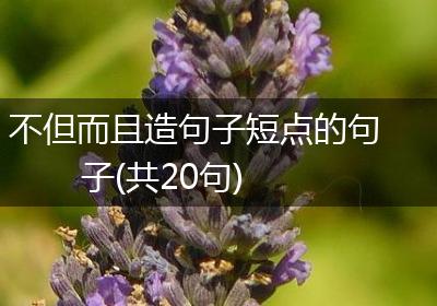 不但而且造句子短点的句子(共20句)