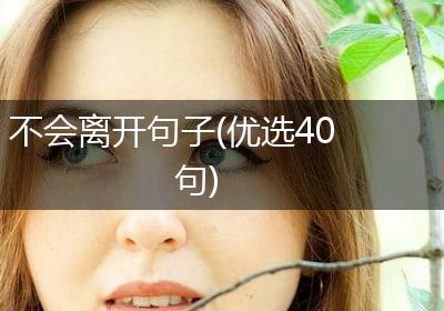 不会离开句子(优选40句)