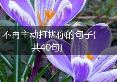 不再主动打扰你的句子(共40句)