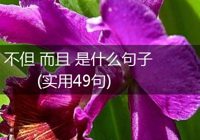 不但 而且 是什么句子(实用49句)