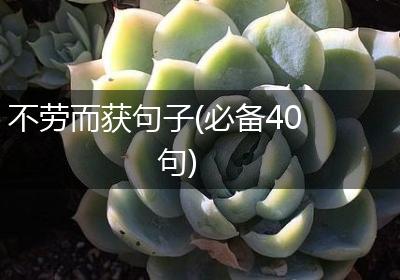 不劳而获句子(必备40句)