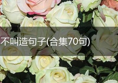不叫造句子(合集70句)