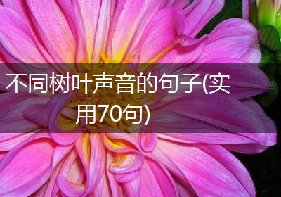 不同树叶声音的句子(实用70句)