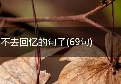 不去回忆的句子(69句)