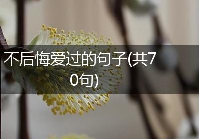 不后悔爱过的句子(共70句)