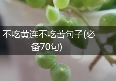 不吃黄连不吃苦句子(必备70句)