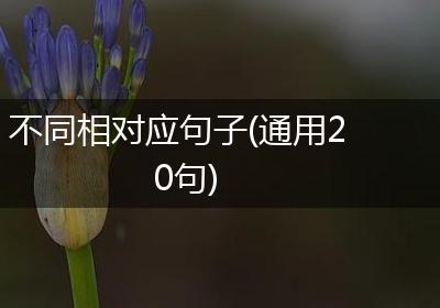 不同相对应句子(通用20句)