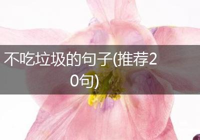 不吃垃圾的句子(推荐20句)