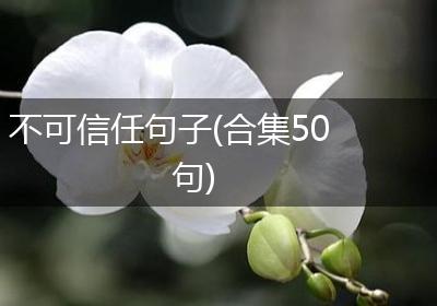 不可信任句子(合集50句)