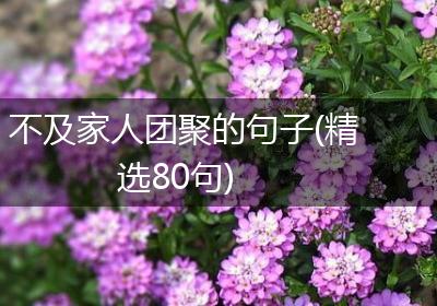 不及家人团聚的句子(精选80句)