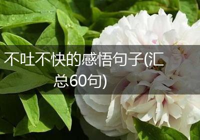 不吐不快的感悟句子(汇总60句)