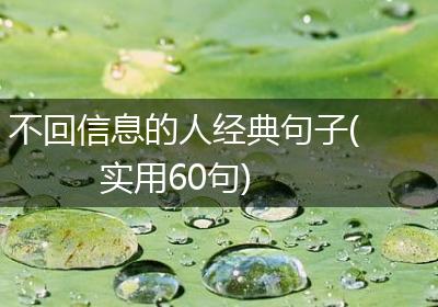 不回信息的人经典句子(实用60句)