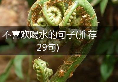 不喜欢喝水的句子(推荐29句)