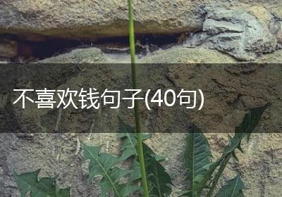 不喜欢钱句子(40句)