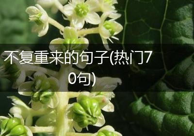 不复重来的句子(热门70句)