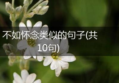 不如怀念类似的句子(共10句)