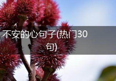 不安的心句子(热门30句)