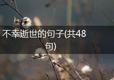 不幸逝世的句子(共48句)