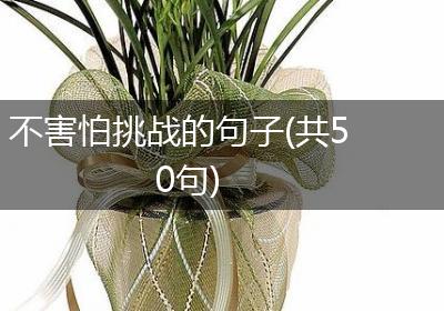 不害怕挑战的句子(共50句)
