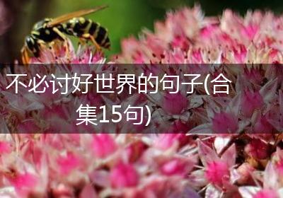 不必讨好世界的句子(合集15句)
