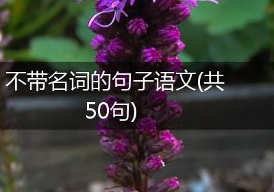 不带名词的句子语文(共50句)