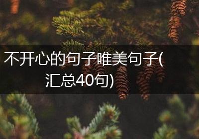不开心的句子唯美句子(汇总40句)