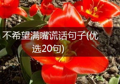 不希望满嘴谎话句子(优选20句)