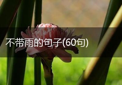 不带雨的句子(60句)