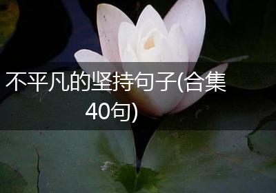 不平凡的坚持句子(合集40句)