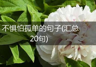 不惧怕孤单的句子(汇总20句)