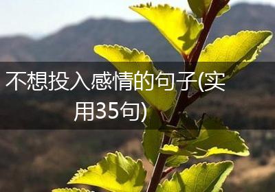 不想投入感情的句子(实用35句)