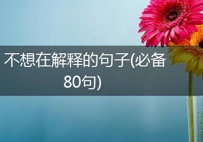 不想在解释的句子(必备80句)