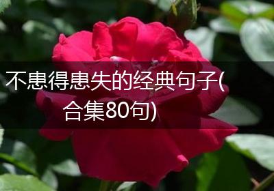 不患得患失的经典句子(合集80句)