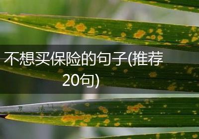 不想买保险的句子(推荐20句)