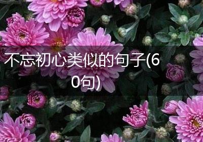 不忘初心类似的句子(60句)