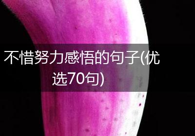 不惜努力感悟的句子(优选70句)
