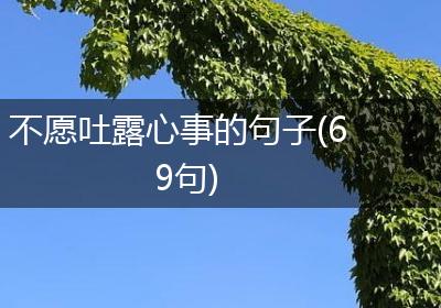 不愿吐露心事的句子(69句)