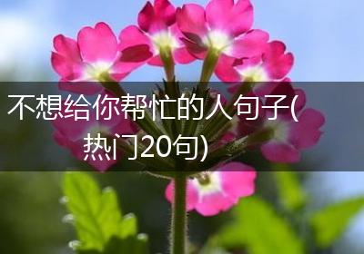 不想给你帮忙的人句子(热门20句)