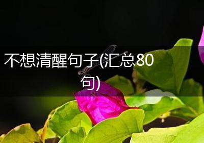不想清醒句子(汇总80句)