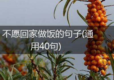 不愿回家做饭的句子(通用40句)