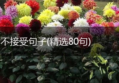 不接受句子(精选80句)