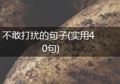 不敢打扰的句子(实用40句)