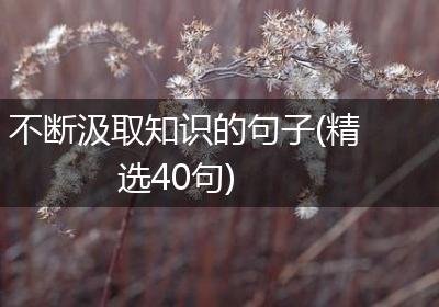 不断汲取知识的句子(精选40句)
