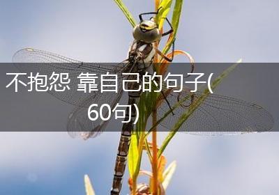 不抱怨 靠自己的句子(60句)