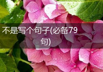 不是写个句子(必备79句)